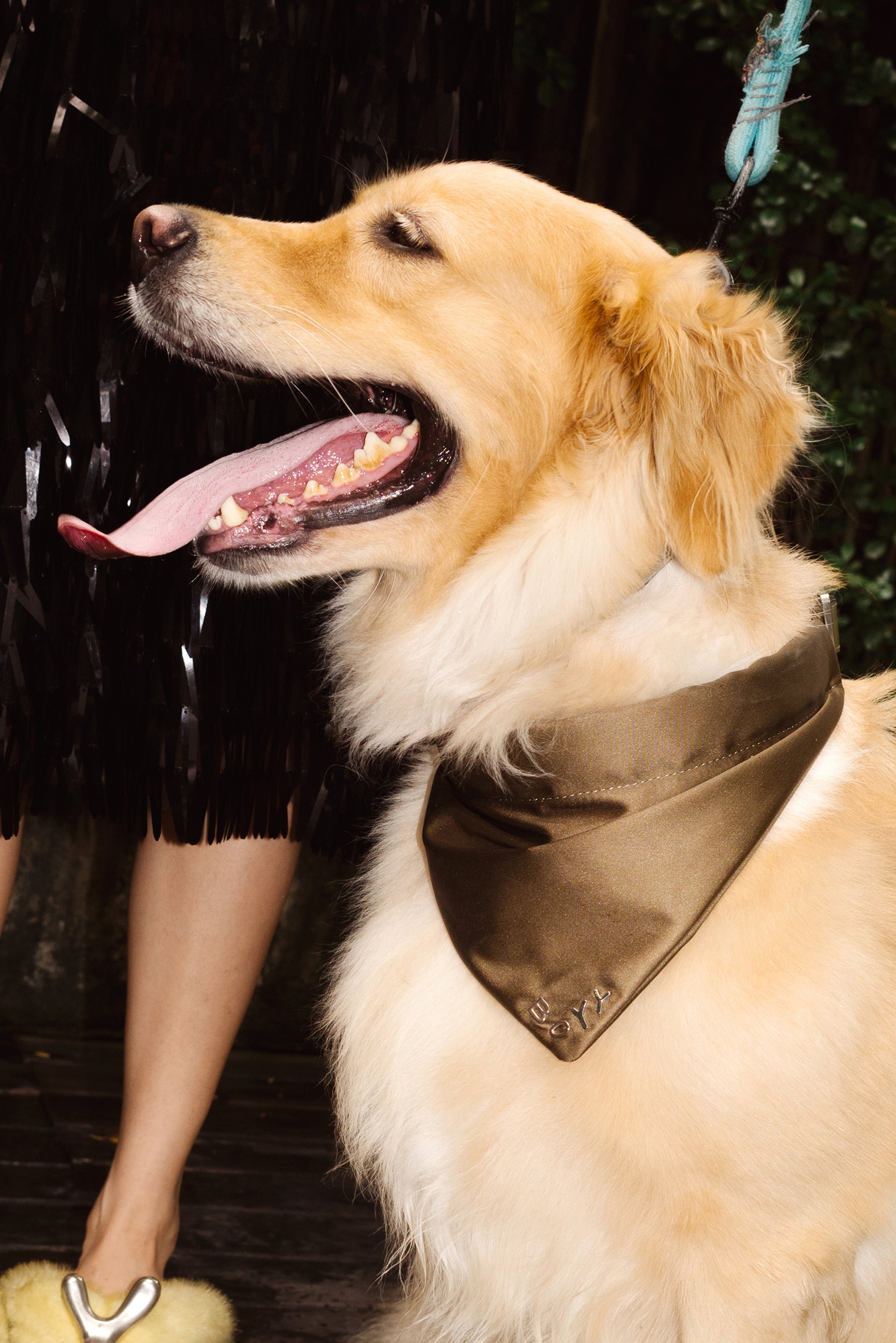 Mother Is Mothering - slide 14