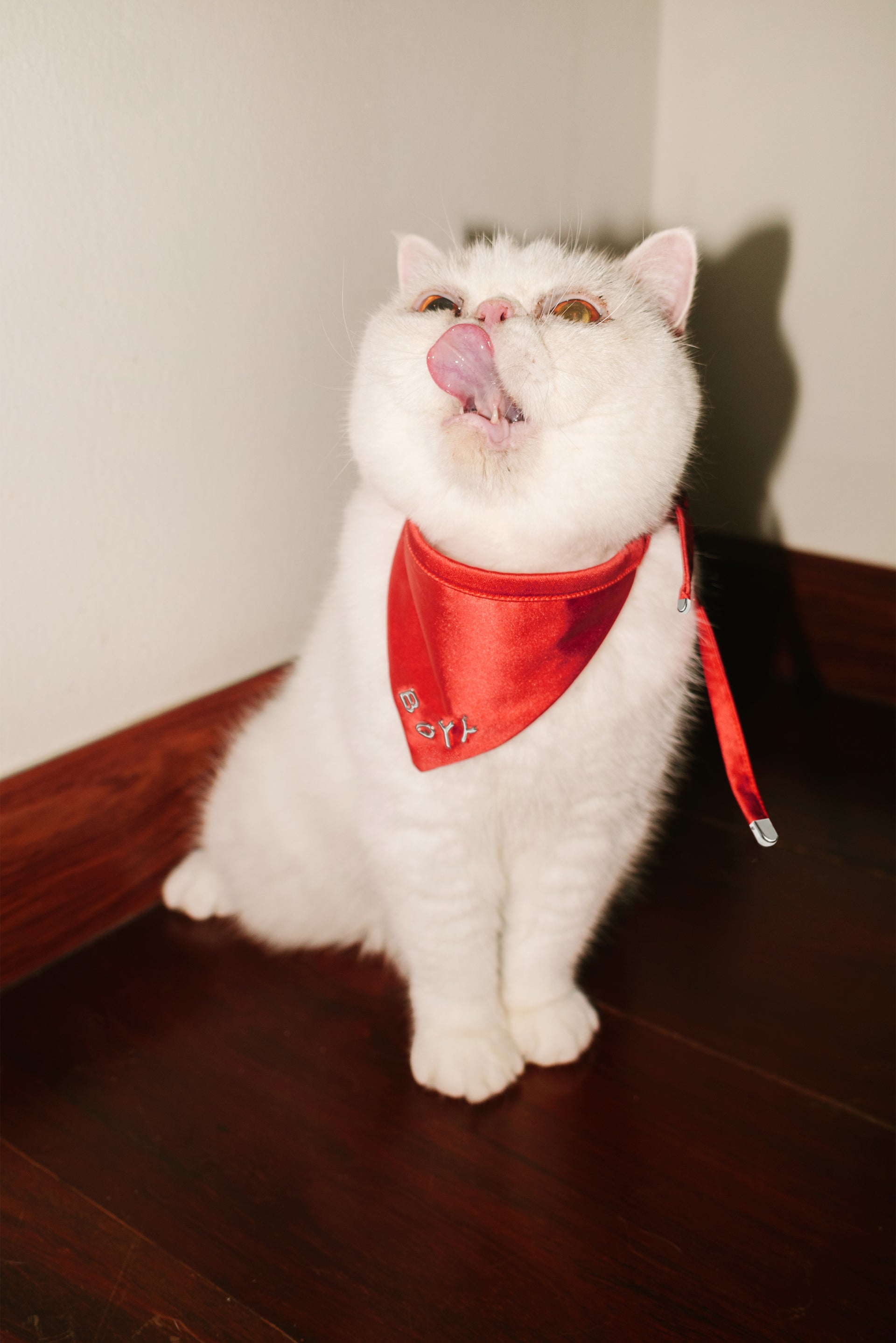 Mother Is Mothering - slide 10