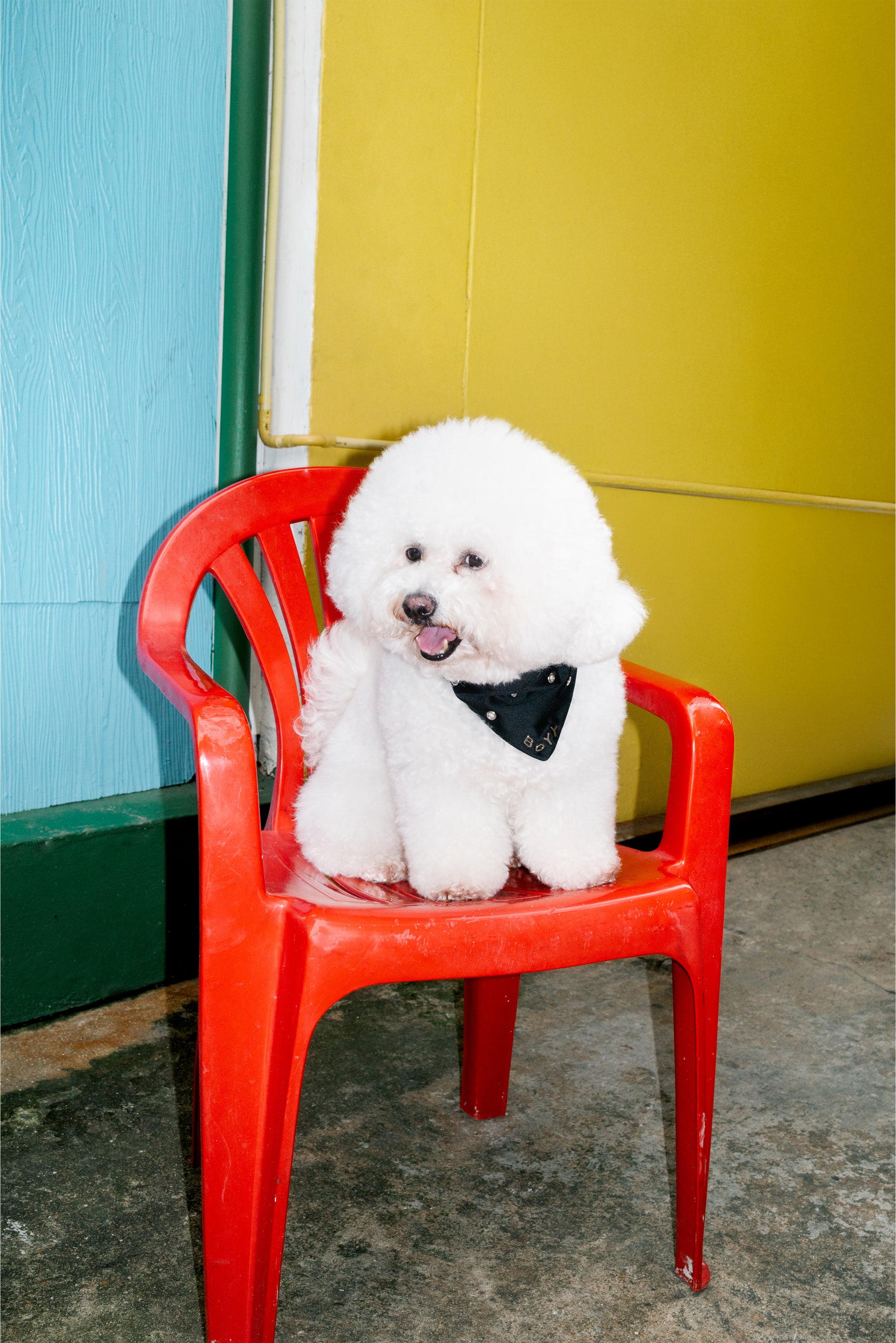 Mother Is Mothering - slide 6